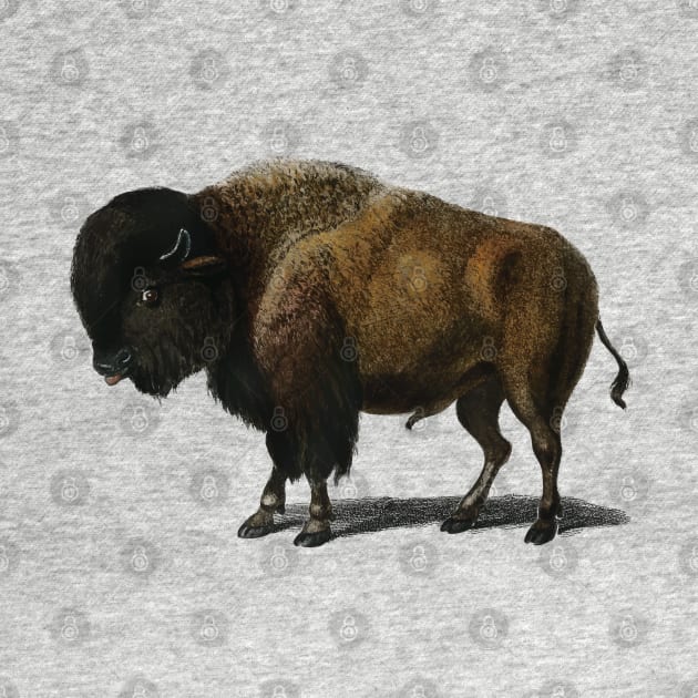 Bison Buffalo by KC Happy Shop